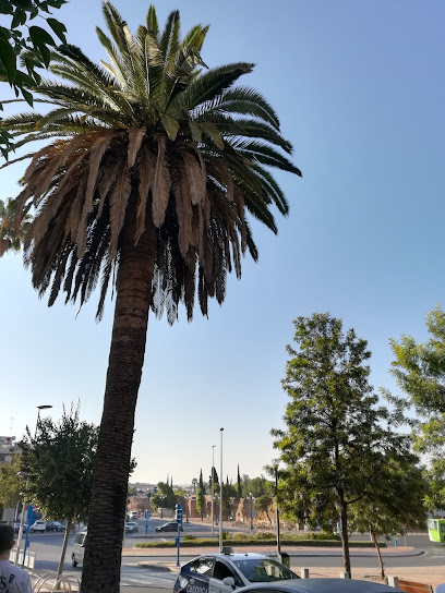 Imagen de Paseo Virgen de la Merced situado en Córdoba, Córdoba