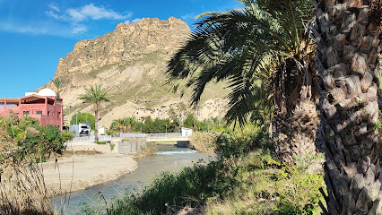 Imagen de Paseo de las Palmeras situado en Ojós, Murcia