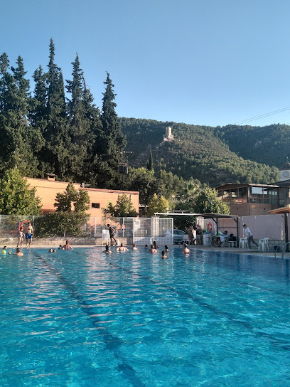 Imagen de Piscina Municipal de Carícola situado en nan, Valencia