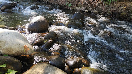 Imagen de Piscina Natural Río Ambroz situado en Abadía, Cáceres