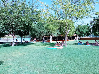 Imagen de Piscina Pública Municipal de Calzada de Calatrava. situado en Calzada de Calatrava, Ciudad Real