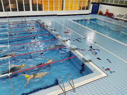 Imagen de Piscinas Cubiertas Municipales situado en Alzira, Valencia