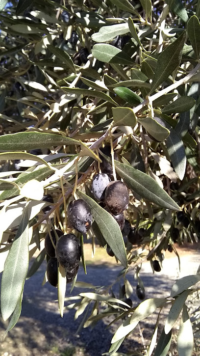 Imagen de Plaça Camp de Túria, Bétera situado en Bétera, Valencia