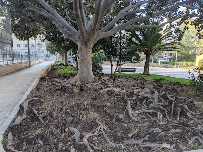 Imagen de Plaça del Bisbe Berenguer de Palou situado en Palma, Balearic Islands