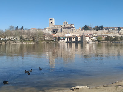 Imagen de Playa de los Pelambres situado en Zamora, Zamora