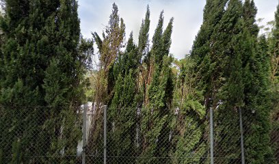 Imagen de Playground - Zona de juego y recreo infantil situado en Chiva, Valencia