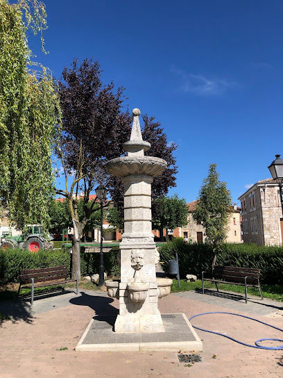 Imagen de Plaza de Pío Martínez situado en Pedrosa de Río Úrbel, Burgos