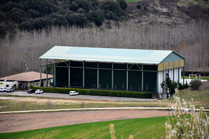 Imagen de Polideportivo Guesalaz situado en nan, Navarra