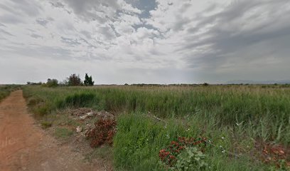 Imagen de Punto ubicación cancillas Torreblanca situado en Torreblanca, Castellón