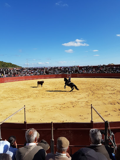 Imagen de Recinto Ferial situado en Alcalá de los Gazules, Cádiz