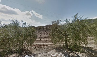 Imagen de San Martín Sarroca situado en Sant Martí Sarroca, Barcelona