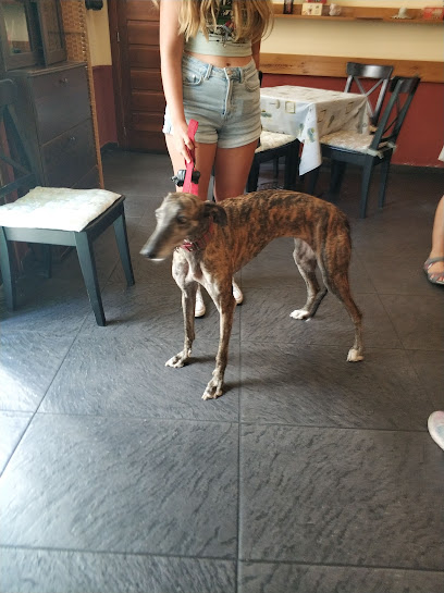 Imagen de Tole-Tole situado en Arenas de San Pedro, Ávila