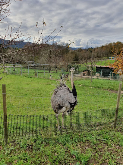 Imagen de Txoko Lezama situado en Lezama, Biscay