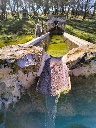 Imagen de Valdileja situado en Vertavillo, Palencia