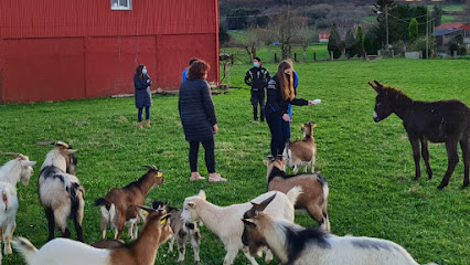 Imagen de Villa Regina situado en Bazar, A Coruña