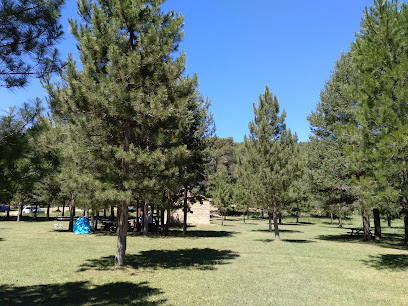 Imagen de Zona Recreativa El Algarbe situado en Terriente, Teruel