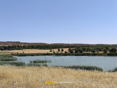 Imagen de Zona Recreo Carrascosa (Embalse de Campos del Paraíso)+Barbacoas+PArque niños situado en nan, Cuenca