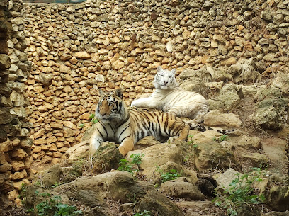 Imagen de Zoo de Castellar situado en Castellar de la Frontera, Cádiz