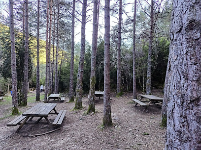 Imagen de merendero y parque infantil situado en Biescas, Huesca