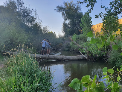 Imagen de playa fluvial de Tiñosillo situado en Tiñosillos, Ávila